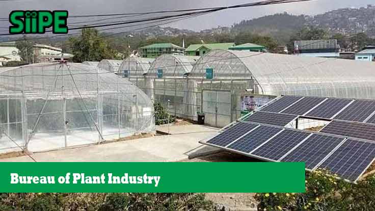 Bureau of Plant Industry