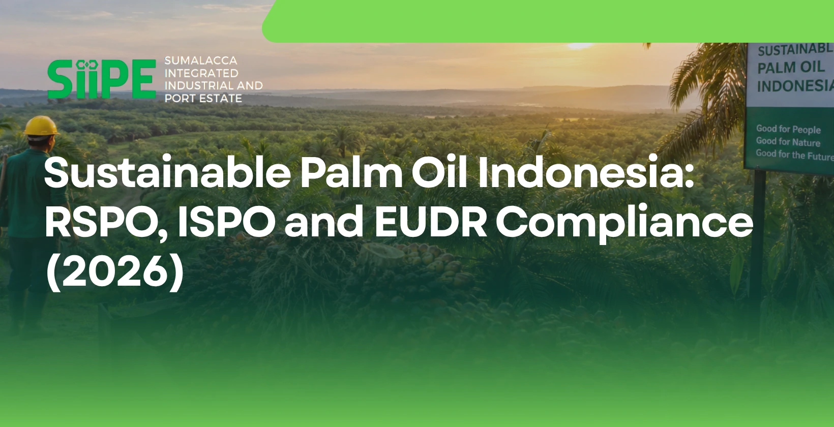 sustainable palm oil indonesia